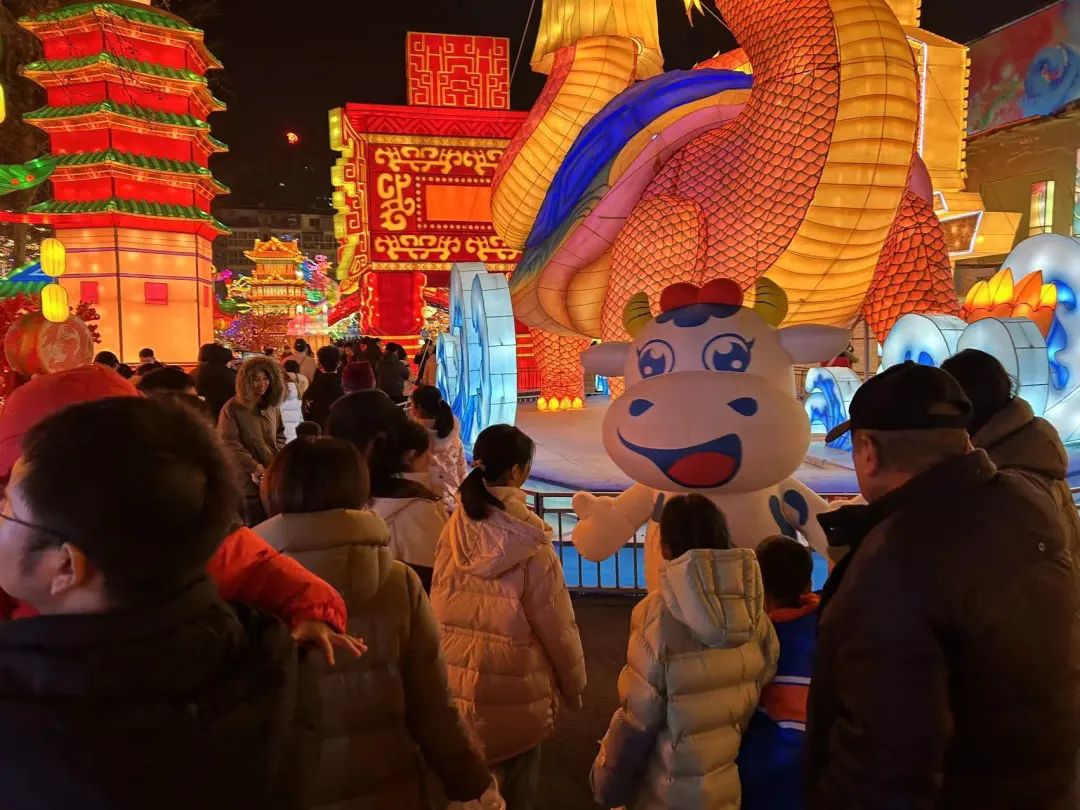 央視直播鄭州龍年燈會(huì)迎新春，花花牛品牌上大分