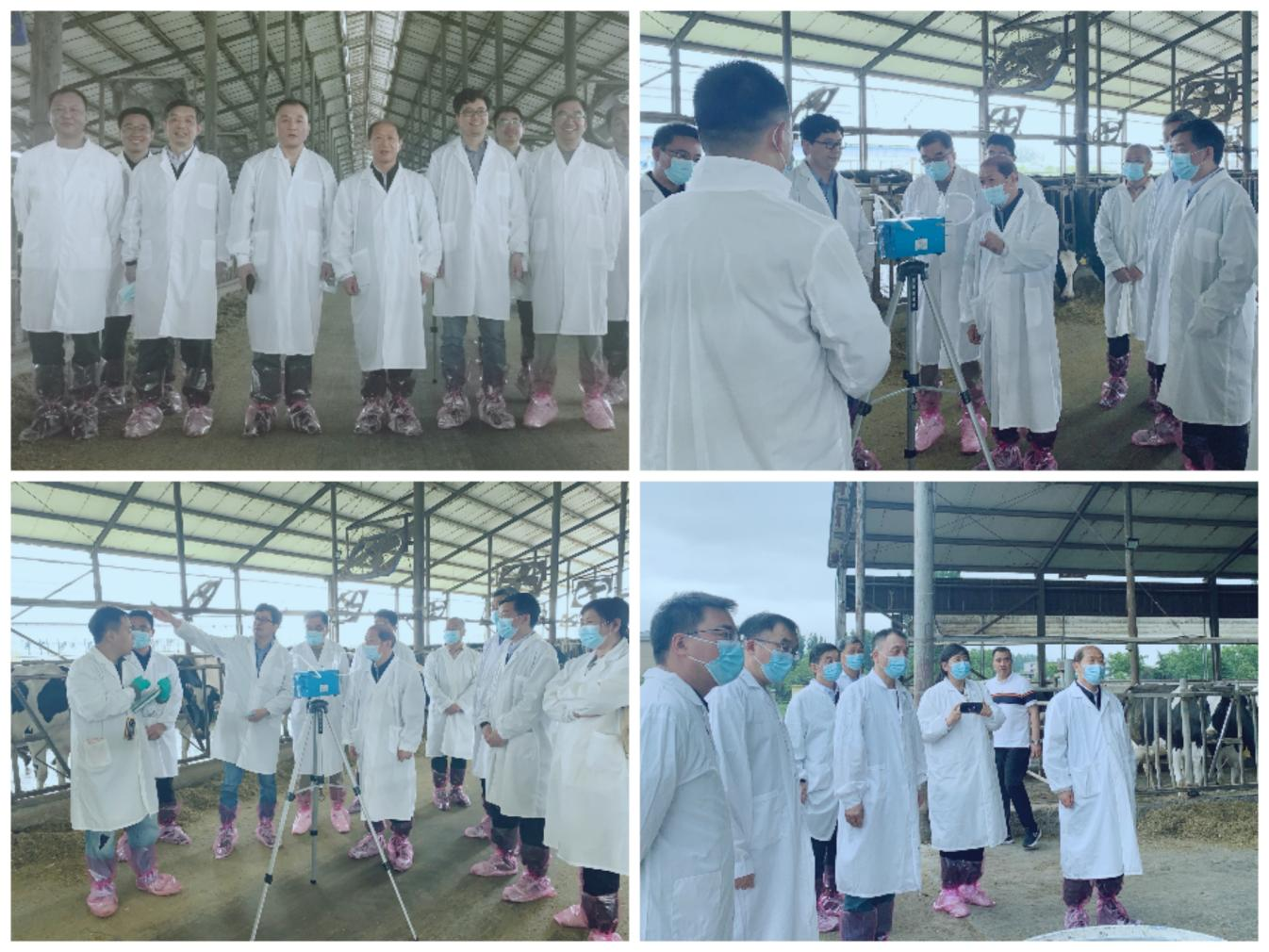 花花牛丨河南農(nóng)業(yè)大學(xué)黨委副書記、校長介曉磊一行蒞臨花花牛河南瑞亞參觀調(diào)研