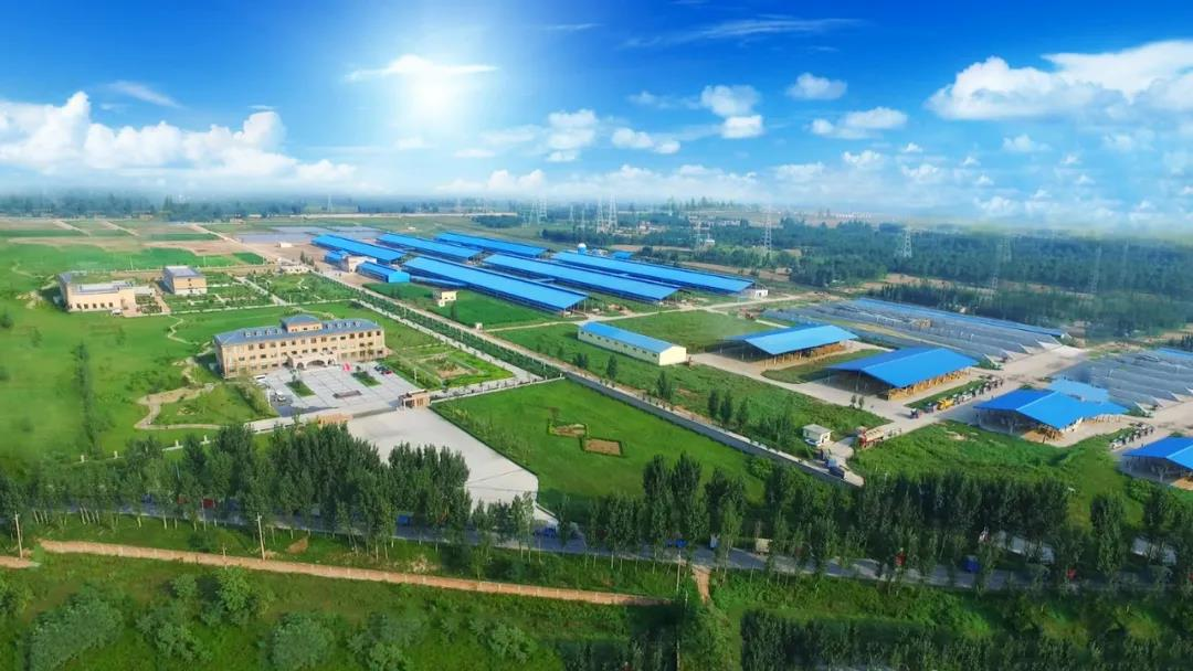 花花牛丨河南農(nóng)業(yè)大學(xué)黨委副書記、校長介曉磊一行蒞臨花花牛河南瑞亞參觀調(diào)研