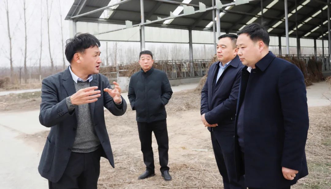 發(fā)揮產(chǎn)業(yè)優(yōu)勢(shì) 助力鄉(xiāng)村振興 | 民權(quán)縣委副書記、縣長(zhǎng)王靜嫻會(huì)見關(guān)曉彥董事長(zhǎng)一行