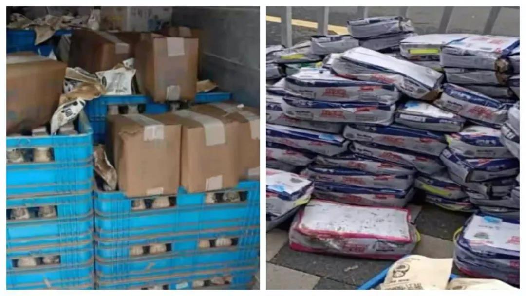 【乳報(bào)·聚焦】“豫”難而上的中原牛人“太中了”！