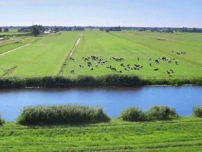 春風(fēng)吹 戰(zhàn)鼓擂——不負(fù)春天好時光