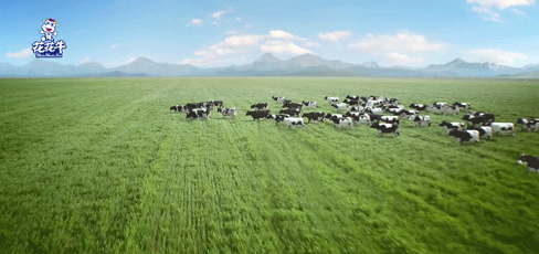 快訊 | 2020河南民營(yíng)企業(yè)100強(qiáng)發(fā)布 花花牛榮獲“河南民營(yíng)企業(yè)現(xiàn)代農(nóng)業(yè)100強(qiáng)”、“河南民營(yíng)企業(yè)社會(huì)責(zé)任100強(qiáng)”雙榮譽(yù)