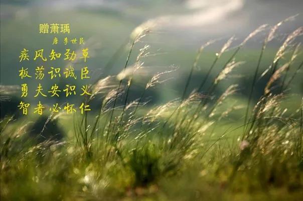 花花牛 | 疾風(fēng)來(lái)臨，你是不是勁草？