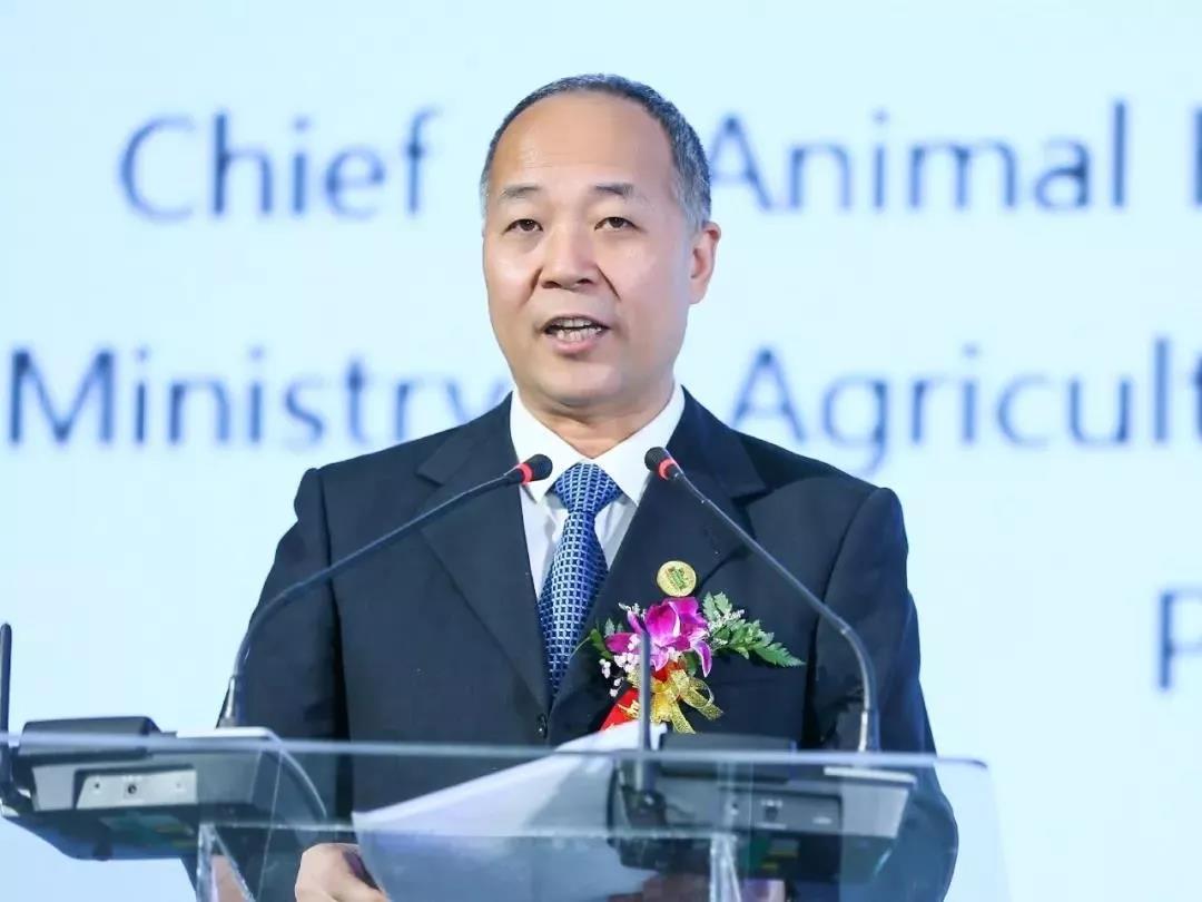 SDDDC走進河南，看看花花牛的國際范兒！