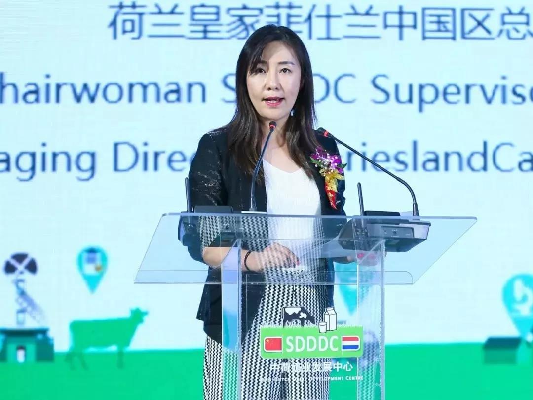 SDDDC走進河南，看看花花牛的國際范兒！