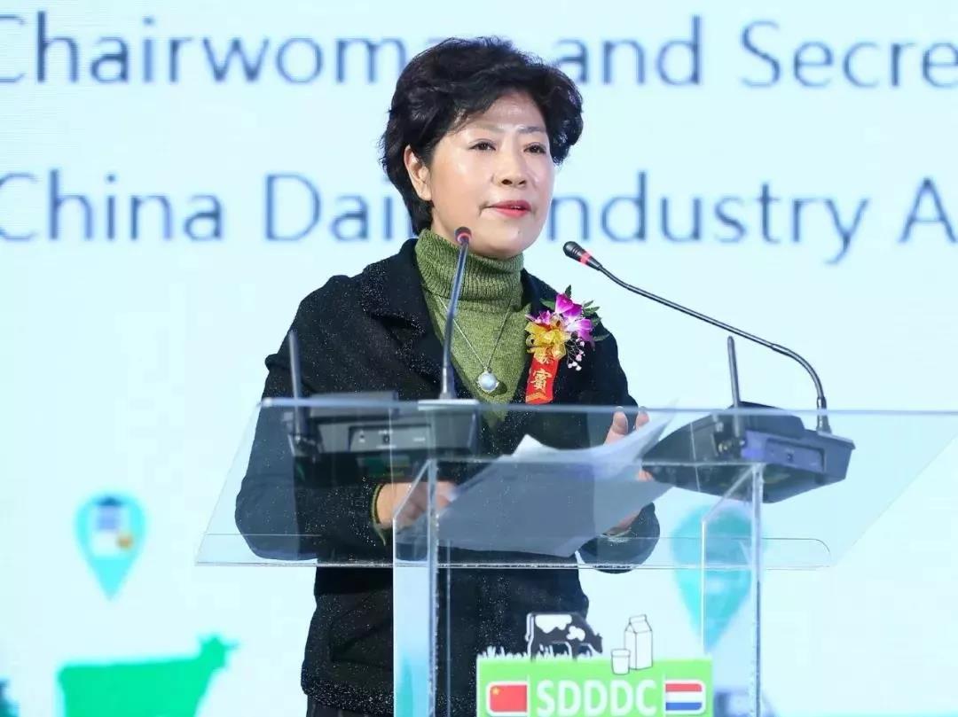 SDDDC走進河南，看看花花牛的國際范兒！