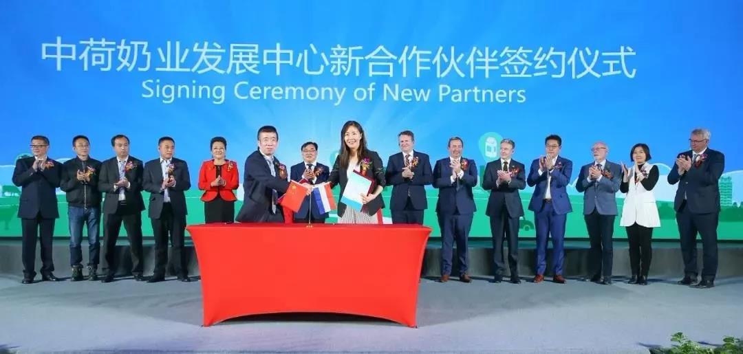 SDDDC走進河南，看看花花牛的國際范兒！