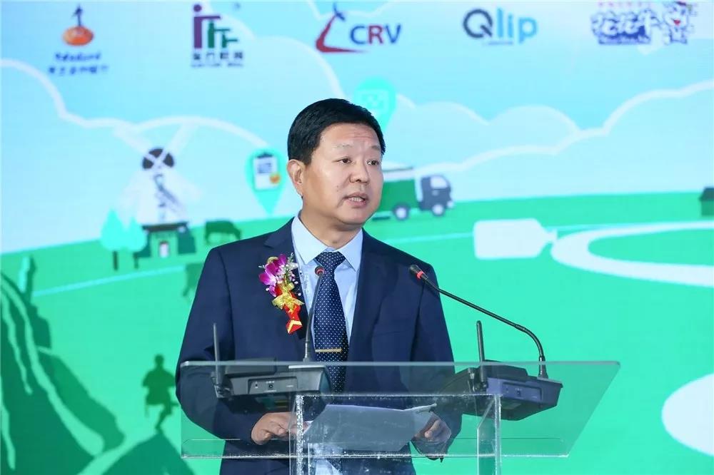 SDDDC走進河南，看看花花牛的國際范兒！