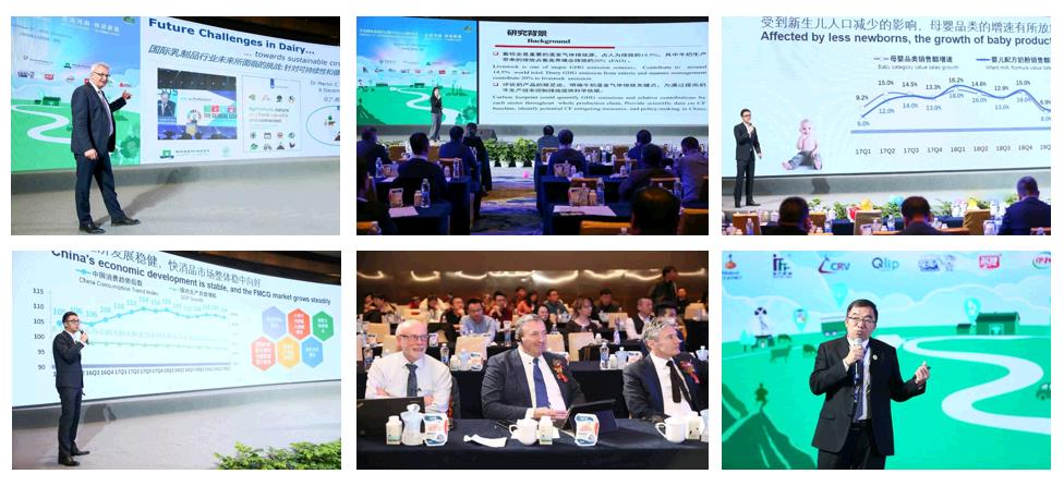 SDDDC走進河南，看看花花牛的國際范兒！