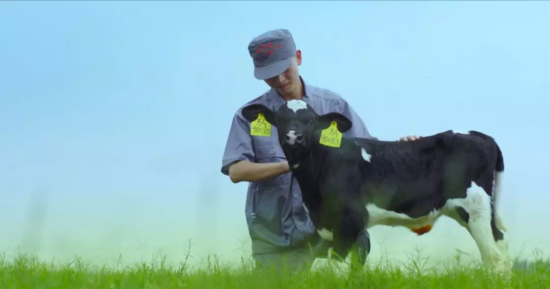 喜報(bào) | 國(guó)家市場(chǎng)監(jiān)管總局抽檢，花花牛等112家企業(yè)乳品抽檢全部合格