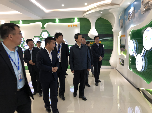 河南省委副書記、省長陳潤兒一行蒞臨 花花牛集團魯山瑞亞牧業(yè)有限公司視察調(diào)研