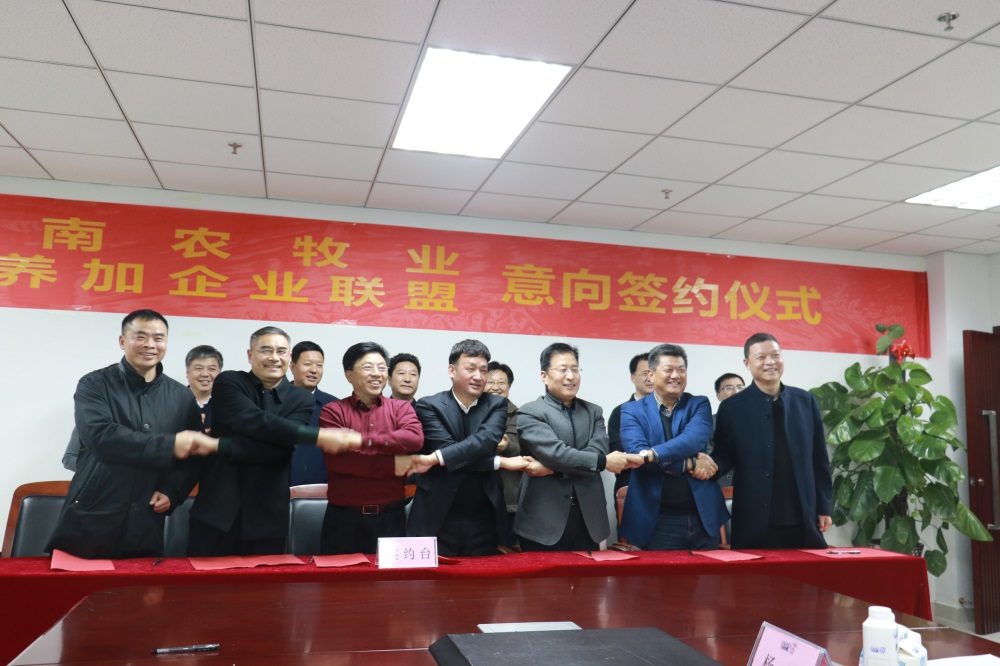 涉農(nóng)企業(yè)強(qiáng)強(qiáng)聯(lián)合，“抱團(tuán)取暖”共迎企業(yè)發(fā)展的春天