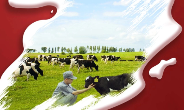 喜報(bào)！花花牛董事長關(guān)曉彥再獲”優(yōu) 秀企業(yè)家”稱號(hào)